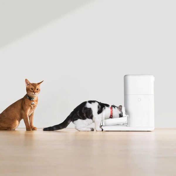 Catlink Automatic Feeder Fresh 2 - Luxury смарт-годівниця для собак та котів, 4 л 6972884750958 фото