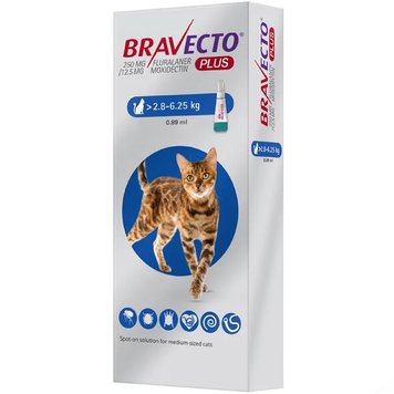 Bravecto Plus (Бравекто Плюс) краплі від бліх, кліщів та глистів для котів вагою від 2.8 до 6.25 кг 1 001 грн фото