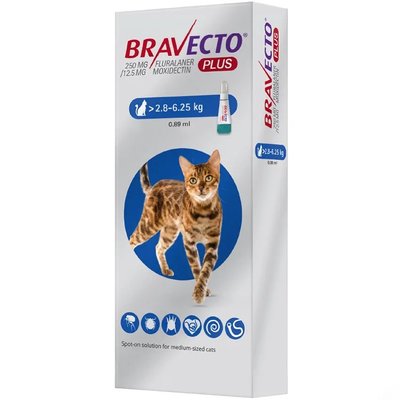 Капли от блох, клещей и глистов Bravecto Plus (Бравекто Плюс) для котов весом от 2.8 до 6.25 кг 8713184196156 фото