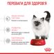 Корм Royal Canin Kitten сухой для котят 2 кг 3182550702423 фото 4