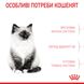 Корм Royal Canin Kitten сухой для котят 2 кг 3182550702423 фото 3