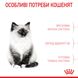 Royal Canin Kitten сухой корм для котят 400 гр 3182550702379 фото 3