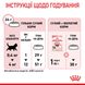 Royal Canin Kitten сухий корм для кошенят 400 гр 3182550702379 фото 8