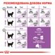 Royal Canin Sterilised сухой корм для стерилизованных котов 4 кг 3182550737616 фото 5