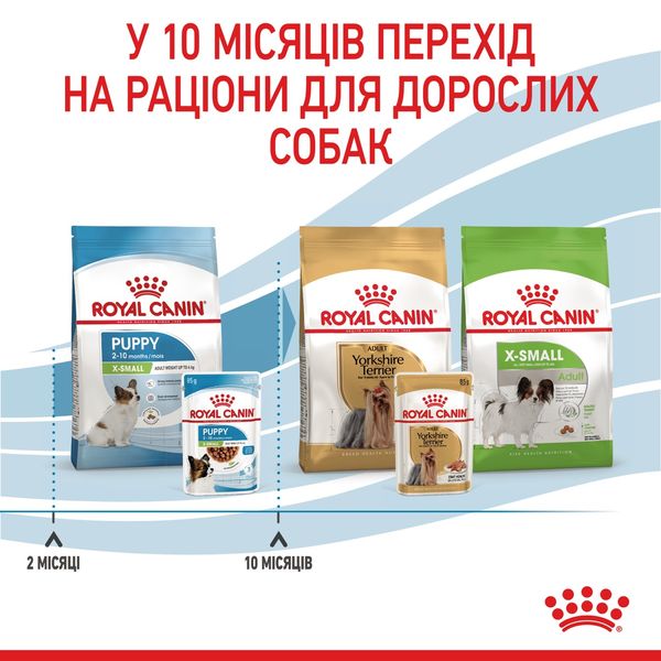 Royal Canin Puppy X-Small влажный корм для щенят мелких пород 85 гр 54 грн фото