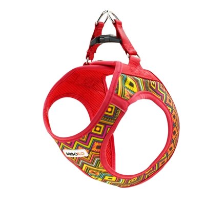 Шлея для собак MISOKO&CO, червоний мультіколор, 37-40 см DCAMIS306R-S фото