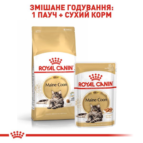 Royal Canin Maine Coon сухий корм для котів породи мейн-кун 2 кг 960 грн фото