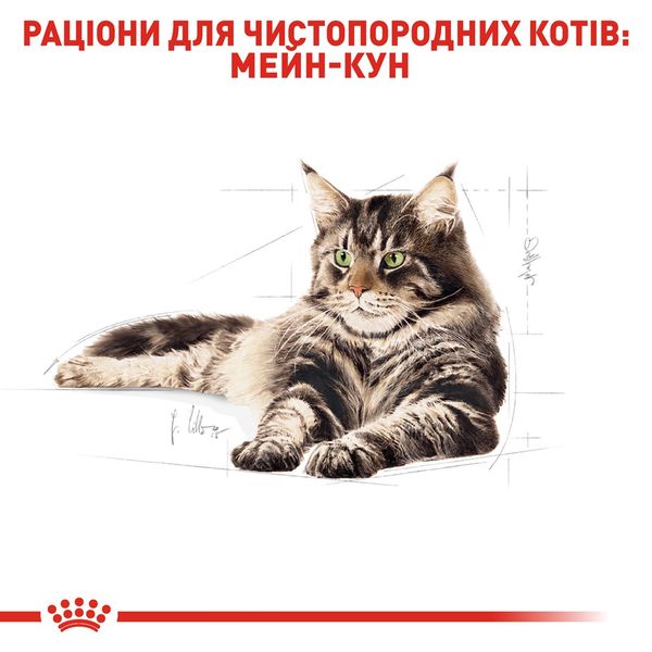 Royal Canin Maine Coon сухий корм для котів породи мейн-кун 2 кг 960 грн фото