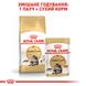 Royal Canin Maine Coon сухий корм для котів породи мейн-кун 2 кг 3182550710640 фото 6