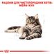 Royal Canin Maine Coon сухий корм для котів породи мейн-кун 2 кг 3182550710640 фото 3