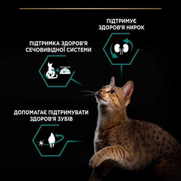 Purina Pro Plan Sterilised Renal Salmon сухий корм для стерилізованих котів для профілактики захворювань нирок з лососем 14 кг 7613287887597 фото