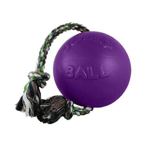 Фото - Іграшка для собаки Jolly Іграшка для собак  PETS ROMP-N-ROLL фіолетова, 12 см 