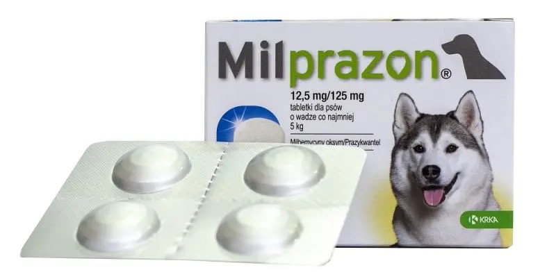 Фото - Інше для собак KRKA Таблетки від глистів для собак Мілпразон , 2 табл 