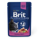 купить Brit Premium Salmon and Trout вологий корм з лососем та фореллю в соусі для котів 100 гр 8595602505999 фото