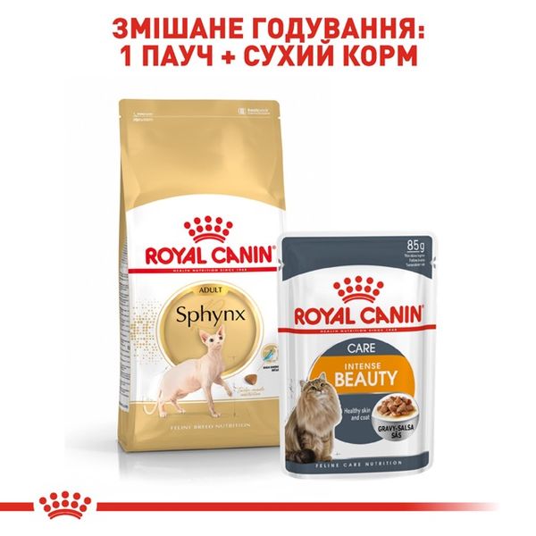 Royal Canin Sphynx сухий корм для котів породи сфінкс 2 кг 3182550758840 фото