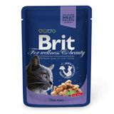 купить Brit Premium Cod Fish влажный корм с треской в соусе для котов 100 гр 8595602506002 фото