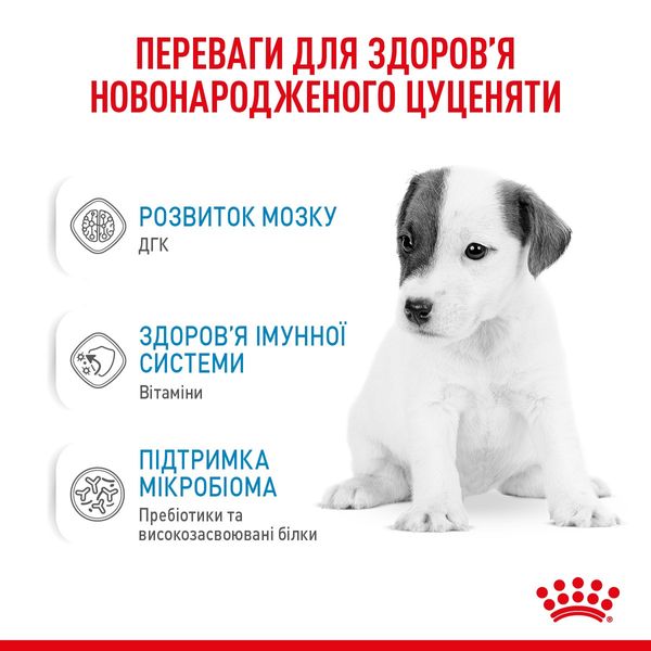 Royal Canin Babydog milk заменитель молока для щенят 2 кг 2 731 грн фото