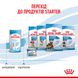 Royal Canin Babydog milk заменитель молока для щенят 2 кг 3182550768658 фото 10