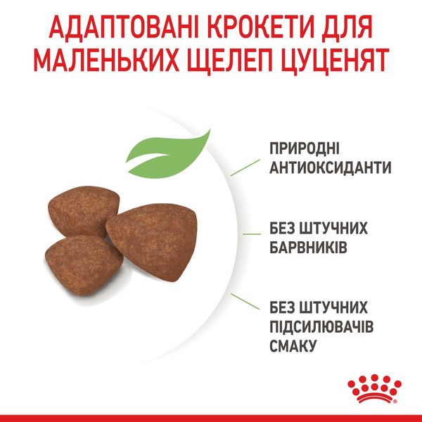 Royal Canin Mini Puppy сухой корм для щенят мелких пород 2 кг 708 грн фото