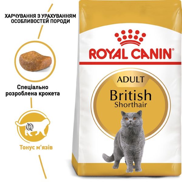 Корм Royal Canin British Shorthair сухий для дорослих котів породи британець 10 кг 3182550756464 фото