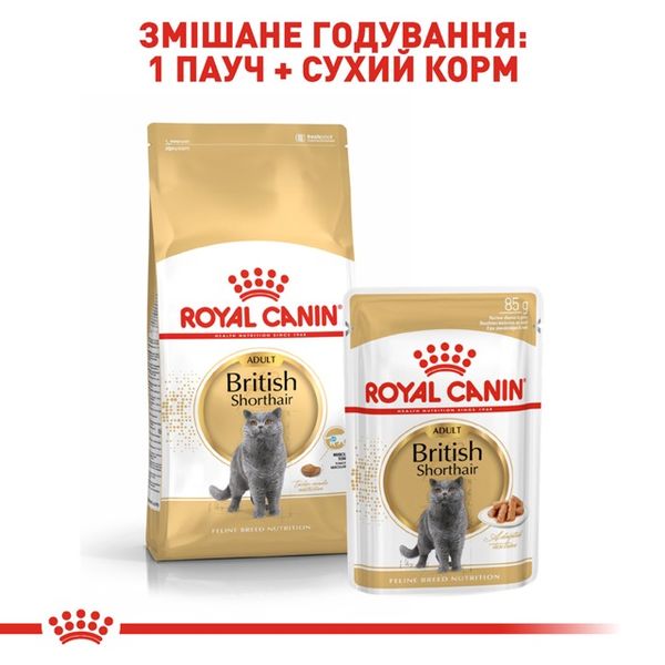 Корм Royal Canin British Shorthair сухий для дорослих котів породи британець 4 кг 3182550756440 фото