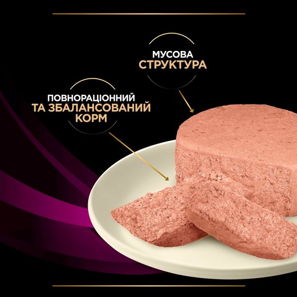 Purina Veterinary Diets UR Urinary вологий корм для котів з захворюваннями нижніх сечовивідних шляхів 195 гр 8445290093431 фото