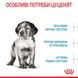 Royal Canin Medium Puppy сухой корм для щенят средних пород 4 кг 3182550708180 фото 3