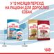 Royal Canin Medium Puppy сухой корм для щенят средних пород 4 кг 3182550708180 фото 7