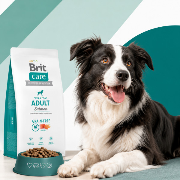 Переваги корму Brit Care для собак: grain free та збалансоване харчування для здоров’я вашого улюбленця