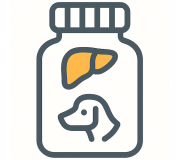 Вітаміни для здоров'я печінки у собак