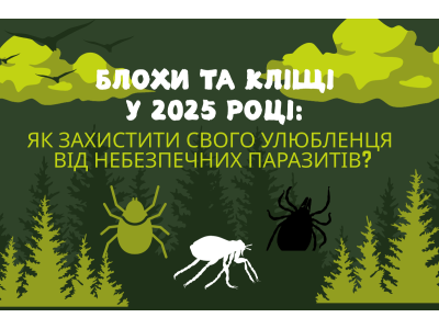 Блохи и клещи в 2025 году: как защитить своего питомца от опасных паразитов?