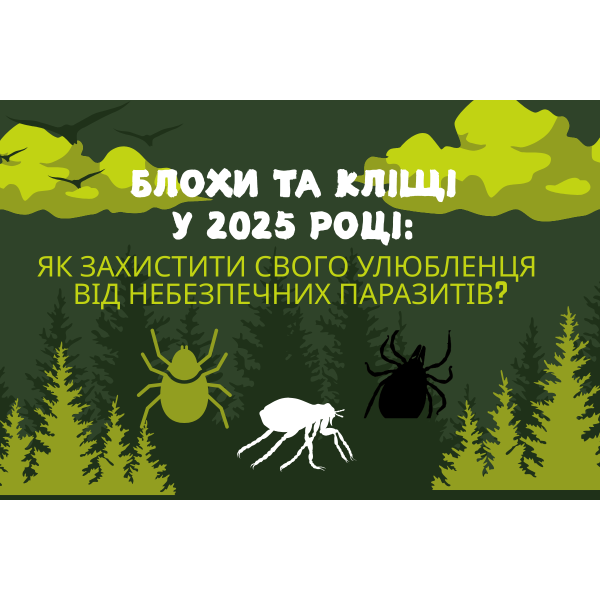 Блохи и клещи в 2025 году: как защитить своего питомца от опасных паразитов?