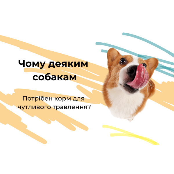 Чому деяким собакам потрібен корм для чутливого травлення?