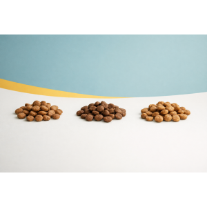 Чому корм для собак і котів може мати різний вигляд і чому це нормально