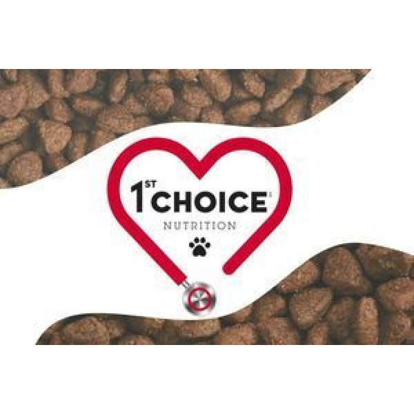 Чому варто купити корм 1st Choice для собак і котів — огляд, переваги та поради