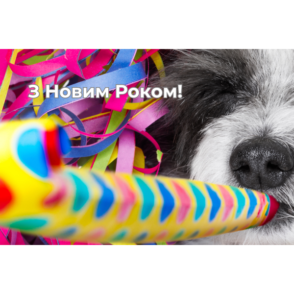 Дорогі друзі! Вітаємо вас з Новим роком!
