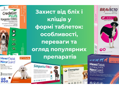 Таблетки від бліх і кліщів: особливості, переваги та огляд популярних препаратів