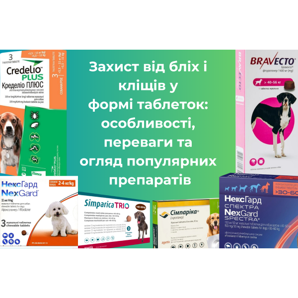 Таблетки от блох и клещей: особенности, преимущества и обзор популярных препаратов