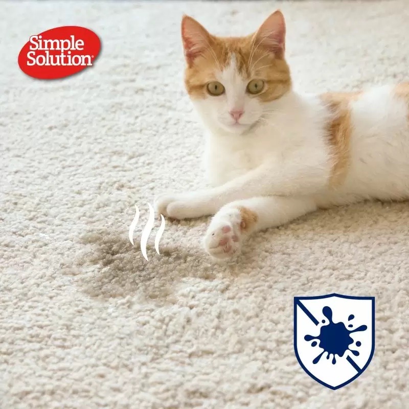 Simple Solution Cat Stain and Odor Remover нейтрализатор запаха и пятен от кошек с про-бактериями, 750 мл - фото 5