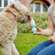 Vet's Best Dental Foam пена для ухода за зубами собак, 100 мл - фото 4