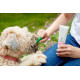 Vet's Best Dental Puppy Kit набір для догляду за зубами цуценят, 100 мл - фото 4