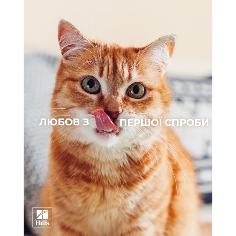 Hill's PD Feline K/D сухой корм с лососем для котов с заболеваниями почек, 400 гр - фото 3