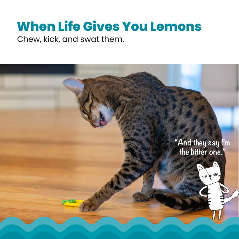 Catstages Lemon Teether игрушка для котов - фото 4