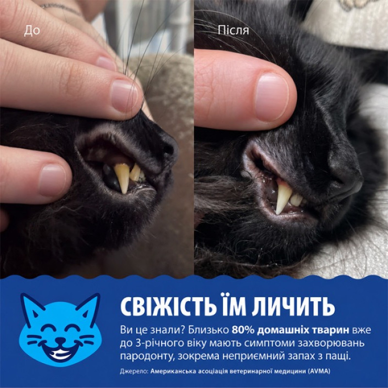 SynergyLabs Dental Fresh Original For Cats еліксир від запаху з пащі для котів, 237 мл - фото 4