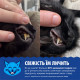 SynergyLabs Dental Fresh Original For Cats еліксир від запаху з пащі для котів, 237 мл - фото 4