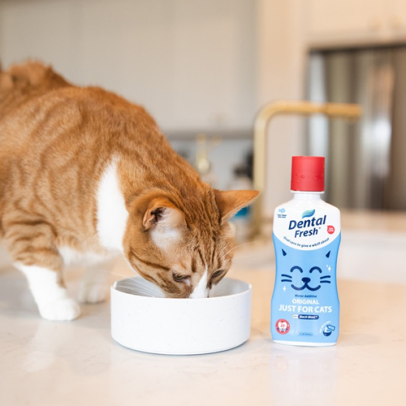 SynergyLabs Dental Fresh Original For Cats еліксир від запаху з пащі для котів, 237 мл - фото 5
