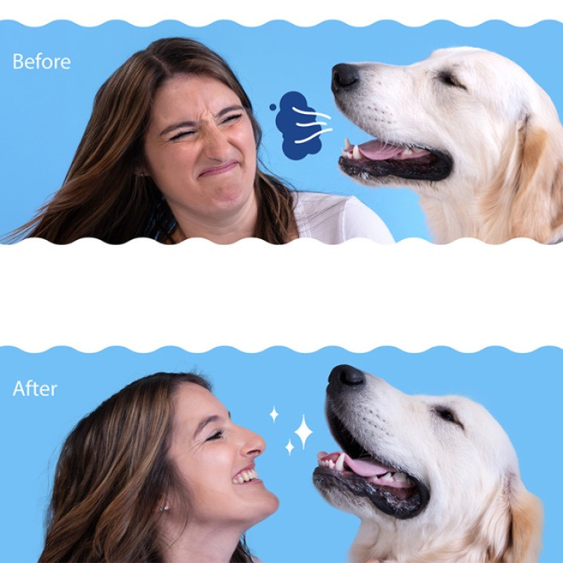 SynergyLabs Dental Fresh Oral Spray спрей от зубного налета для собак и котов, 89 мл - фото 6
