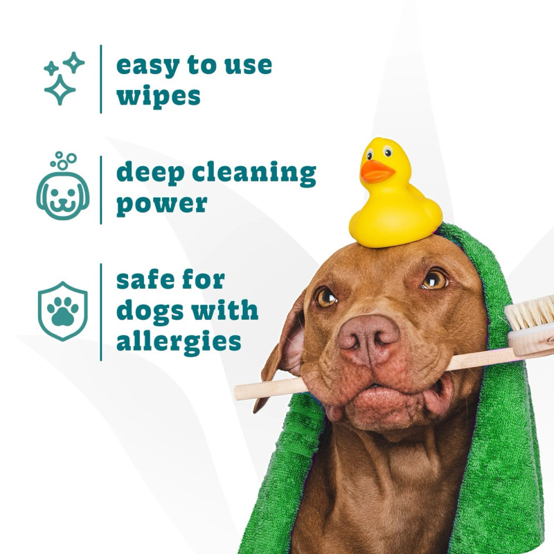 Espree Hypo-Allergenic Dog & Cat Aloe Wipes гипоаллергенные гигиенические салфетки для собак и котов, 50 шт - фото 4