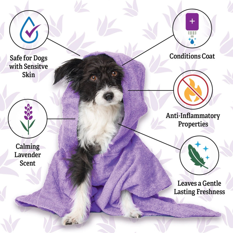 Espree Calming Lavender & Chamomile Dog Shampoo & Conditioner успокаивающий шампунь-кондиционер для собак, 591 мл - фото 3