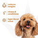 Espree Wavy Curly Coat Dog Shampoo & Conditioner шампунь-кондиционе для собак с кучерявой шерстью, 591 мл - фото 4